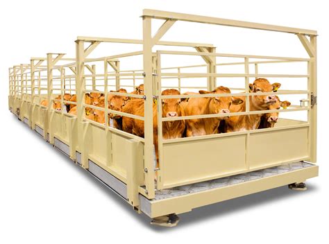 Cardinal Livestock Scales Advanced Mobile Weighing System