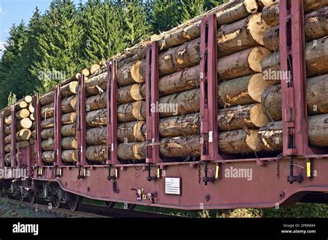 Transporting Wooden Logs Stock Photo Alamy