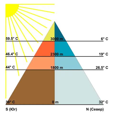 Altitudinal Zonation Definition Factors Importance Examples