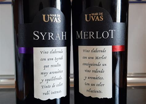 Mar De Uvas Syrah Y Merlot La Casa De Baco Wine Rider