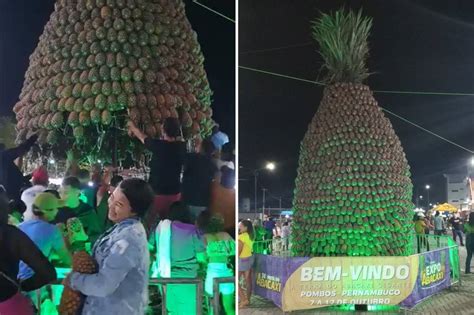 Escultura De Abacaxi Gigante Desaba Em Festa Em Pernambuco