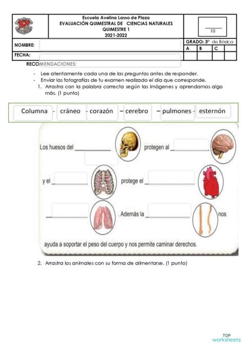 Practica Topworksheets Ficha Interactiva Topworksheets Porn Sex Picture