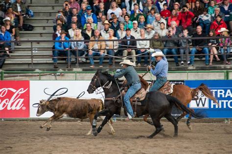 Visit the Jackson Hole Rodeo