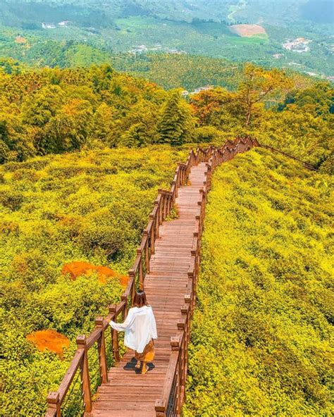 嘉義景點推薦｜超過15個必訪景點，適合嘉義一日遊、二日遊的好去處！ 輕旅行