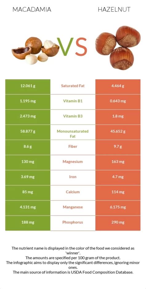 Never Worry About Hazelnut Vs Filbert Vs Cobnut Vs Macadamia With These