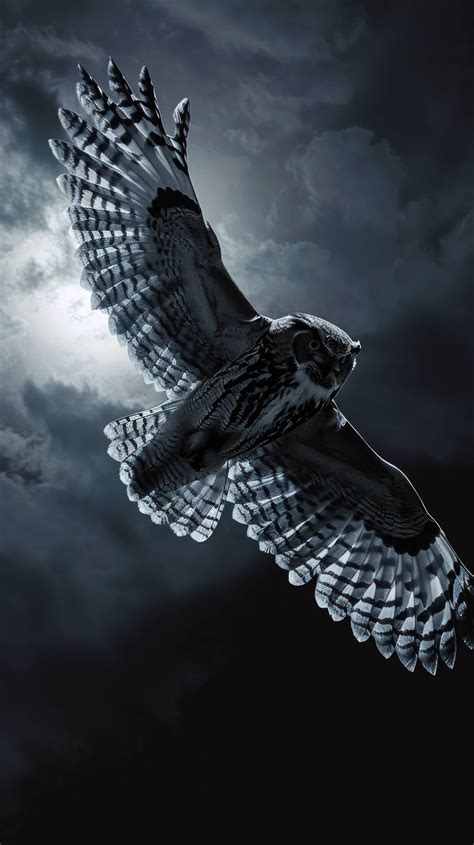 flying hawk at night, hawk in moonlight, bird of prey night sky, raptor ...