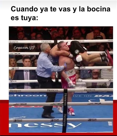 Memes De La Pelea De Canelo Tras Su Derrota Ante Bivol