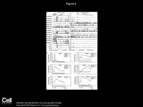 High-Resolution Profiling of Histone Methylations in the Human Genome ...