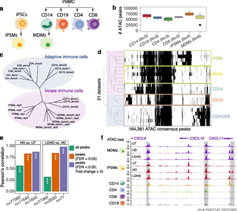 Differential Chromatin Accessibility Across Cell Types And