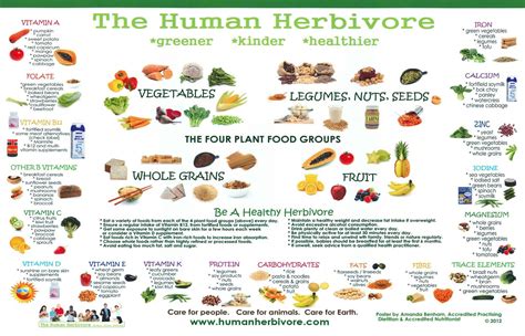 Human Herbivore | Plant based eating, Plant food, Veggie delight