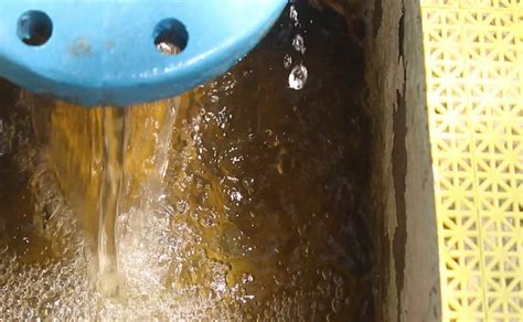 Reporta Cea Denuncias Por Desperdiciar Agua Potable En Quer Taro