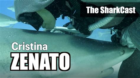 The Sharkcast S E Cristina Zenato Youtube