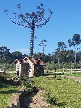 Parque Olivas de Gramado 2020 Qué saber antes de ir Lo más