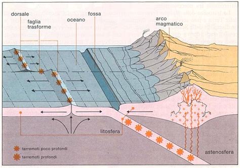 Terremoti Ambienti Tettonici E Faglie Regionali