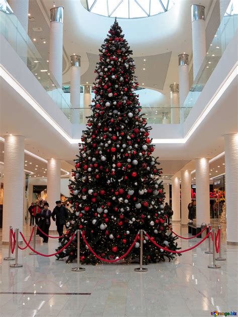 Christmas tree in the store free image - № 16233