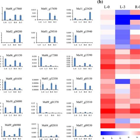 Heatmap And QRT PCR Validation Of MYB And WRKY TFs After Long Term MD