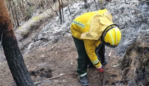 El Proceso de restauración de los cerros después de los incendios