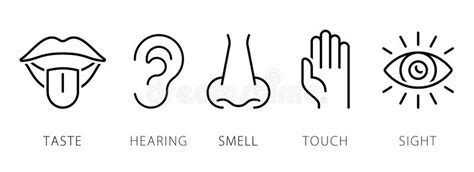 Creative Vector Illustration Line Icon Set Of Five Human Senses Stock