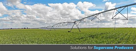 Irrigation Solutions For Sugarcane Producers Senninger Irrigation