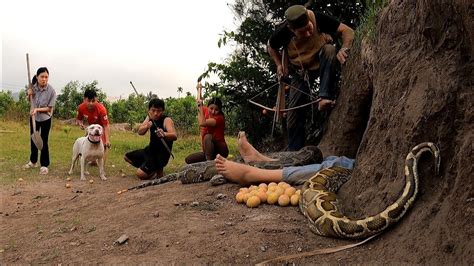 Brave Hunters Let Pitbull Confront The Giant Python To Rescue The