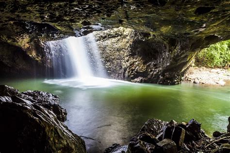 Natural Bridge Springbrook National Park Bakers Rd Natural Bridge