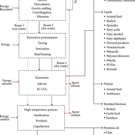 Schematic Of Algal Biorefinery Concept [59 63] Download Scientific