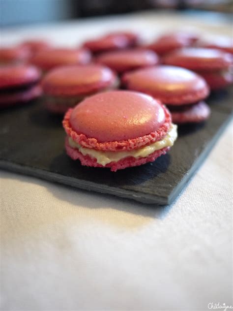 Macarons fruits rouges et Rhum raisins LA recette Blog de Châtaigne