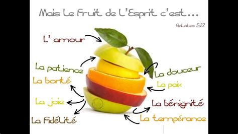 Le Fruit De Lesprit 10 La Loi Et Lesprit Youtube