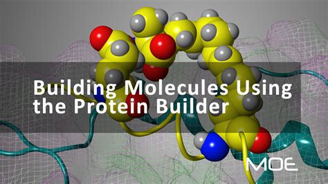 Building Molecules Using The Protein Builder Ccg Video Library