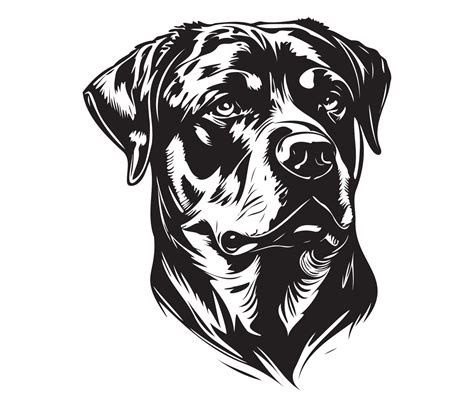 Rottweiler Face Silhouette Dog Face Black And White Rottweiler Vector