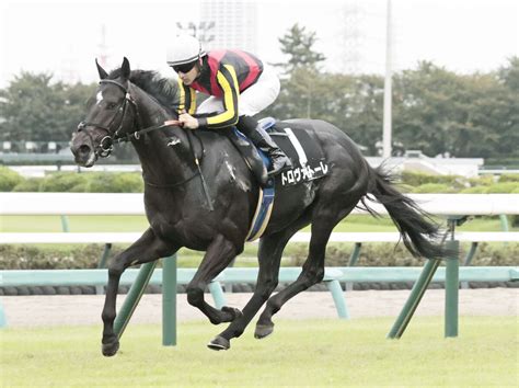 【中山11r・秋風s】トロヴァトーレがノーステッキで快勝 オープン入りにルメール騎手「上のクラスでも」 Umatoku 馬トク