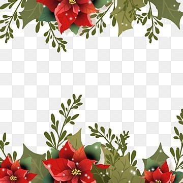 Poinsettia Border Clipart Transparent PNG Hd, Poinsettia Christmas ...