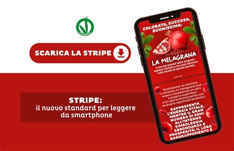 Stripe Lome La Melagrana Un Frutto Succoso E Buonissimo Veganok