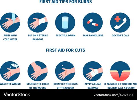 Skin injury first aid for wound or burn bleeding Vector Image