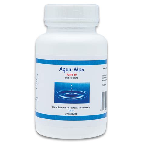 Aqua Mox Forte 500 Mg Capsules Fish