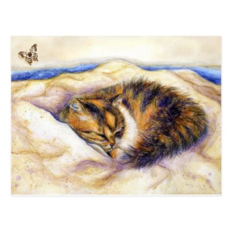 Mini Art Calico Cat Sleeping Postcard Zazzle