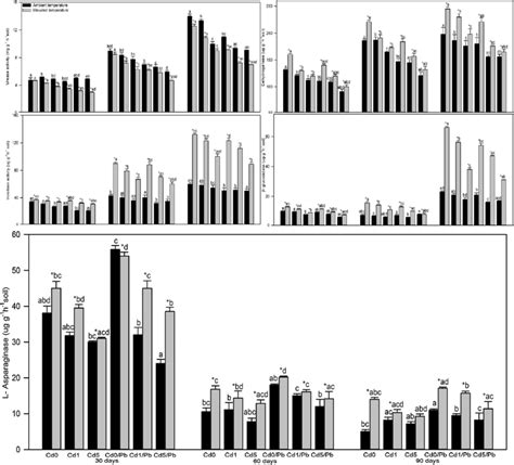 The Activity Of Urease Dehydrogenase Invertase B Glucosidase And Download Scientific