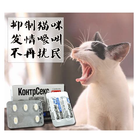 喵喵安静抑制情欲猫药母猫禁情粉猫发性猫咪猫宁抑情粉公猫禁情粉虎窝淘