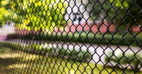 Exploring the Versatility of Wire Mesh Fencing