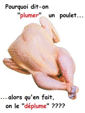 Plumer Un Poulet Abenchaalors Fr