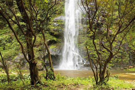 A Transformative Trek to Ghana's Wli Waterfalls