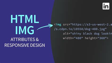 HTML Tutorial IMG Tag Attributes And Responsive Resolution YouTube