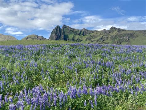 Things To Do In Vik Best Activities Around Iceland S South Coast