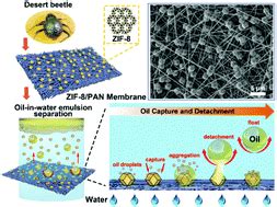 Inverse Desert Beetle Like ZIF 8 PAN Composite Nanofibrous Membrane For