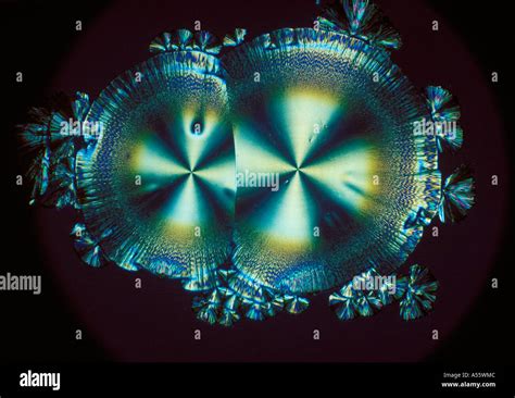 Ascorbic Acid Vitamin C Crystal Micro Structure Lm Micrograph Stock