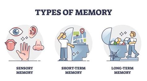 What is Long Term Memory? - Goally