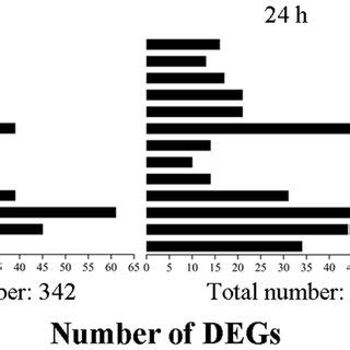 The Numbers Of DEGs Related To Amino Acid Metabolism In Glycyrrhiza