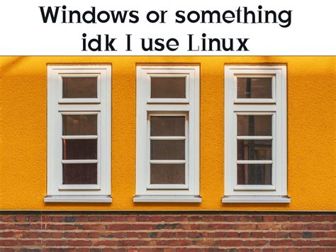 Windows Is Such A Pane Rmemes