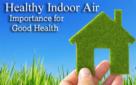 7 Tips To Monitor And Improve The Air Quality In Your Home