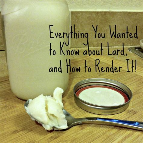 Everything You Need To Know About Lard Rendering Techniques Recipes